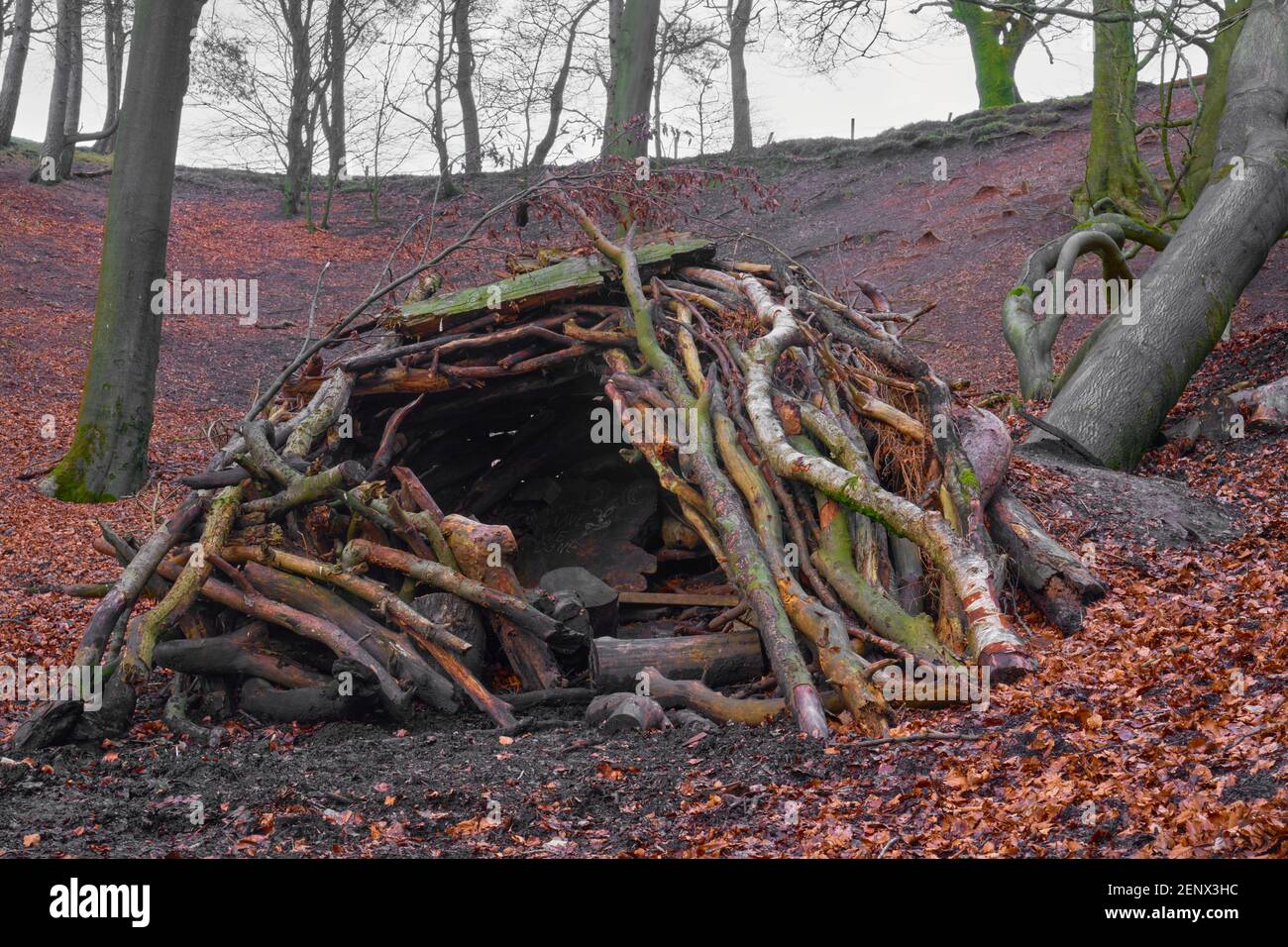 Children den in the woods here in England Stock Photo