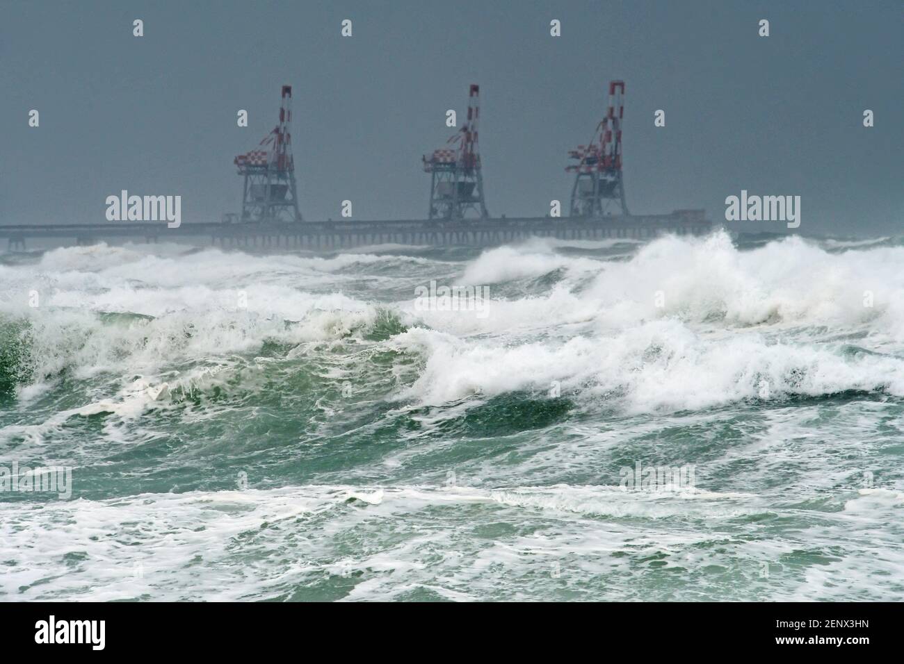 Cranes in a rough sea Stock Photo