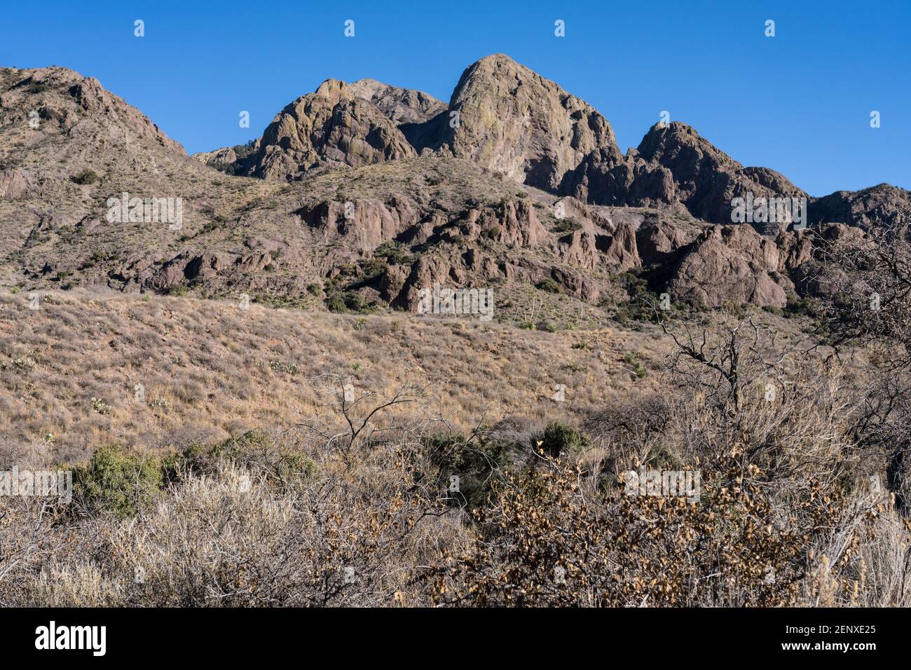 Volcanic rhyolite peaks in the Organ Mountains - Desert Peaks National ...