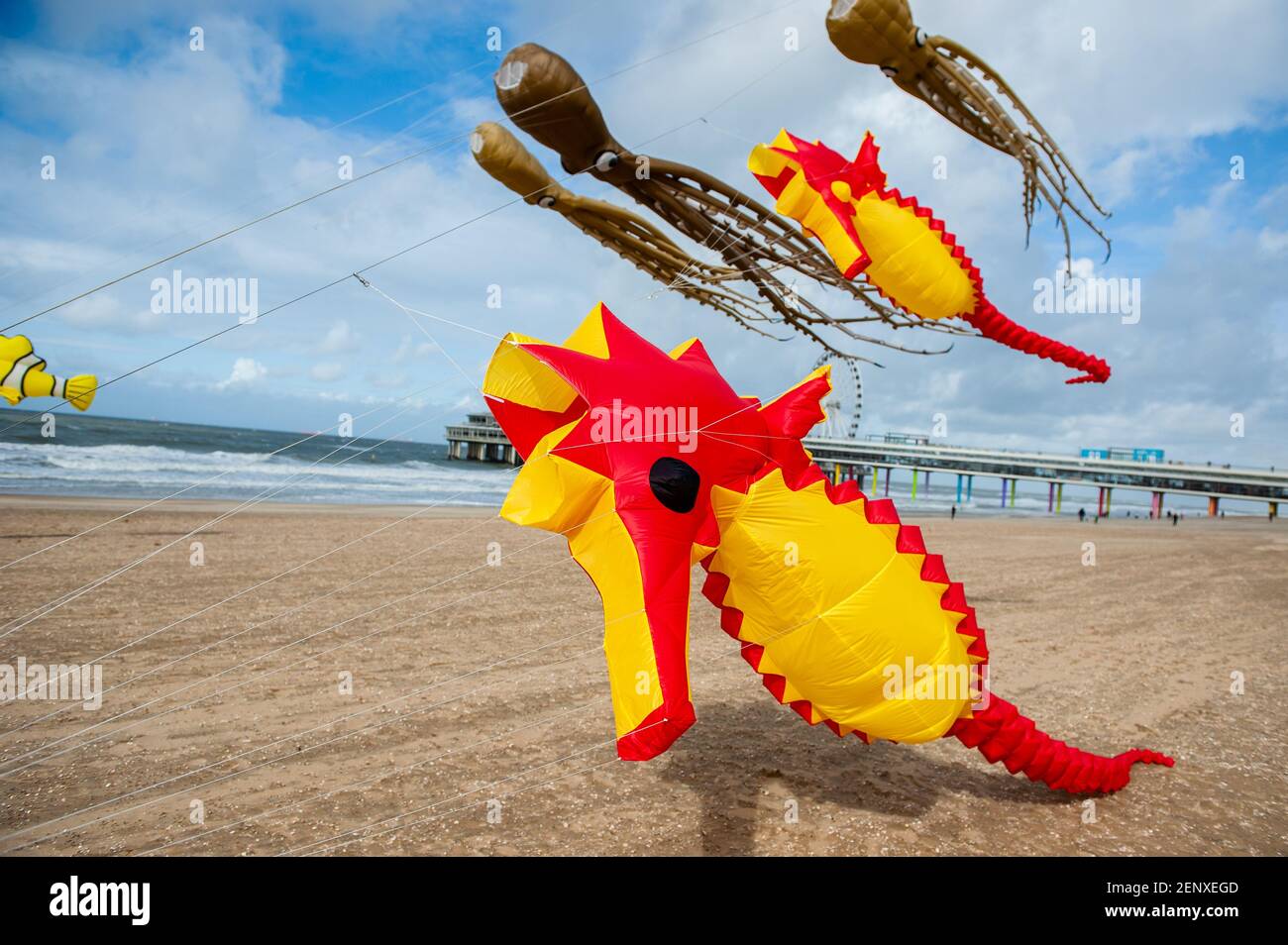 A seahorse kite at the beach during festival. The international Kite