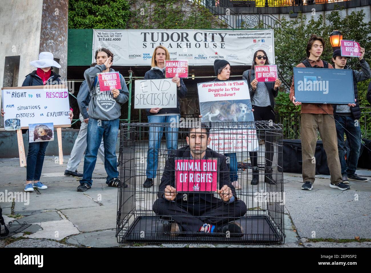 An animal rights activist in a cage symbolizing the suffering of abused and  exploited animals during a rally for the enactment of the Animal Bill of  Rights, Rose's Law, across the United
