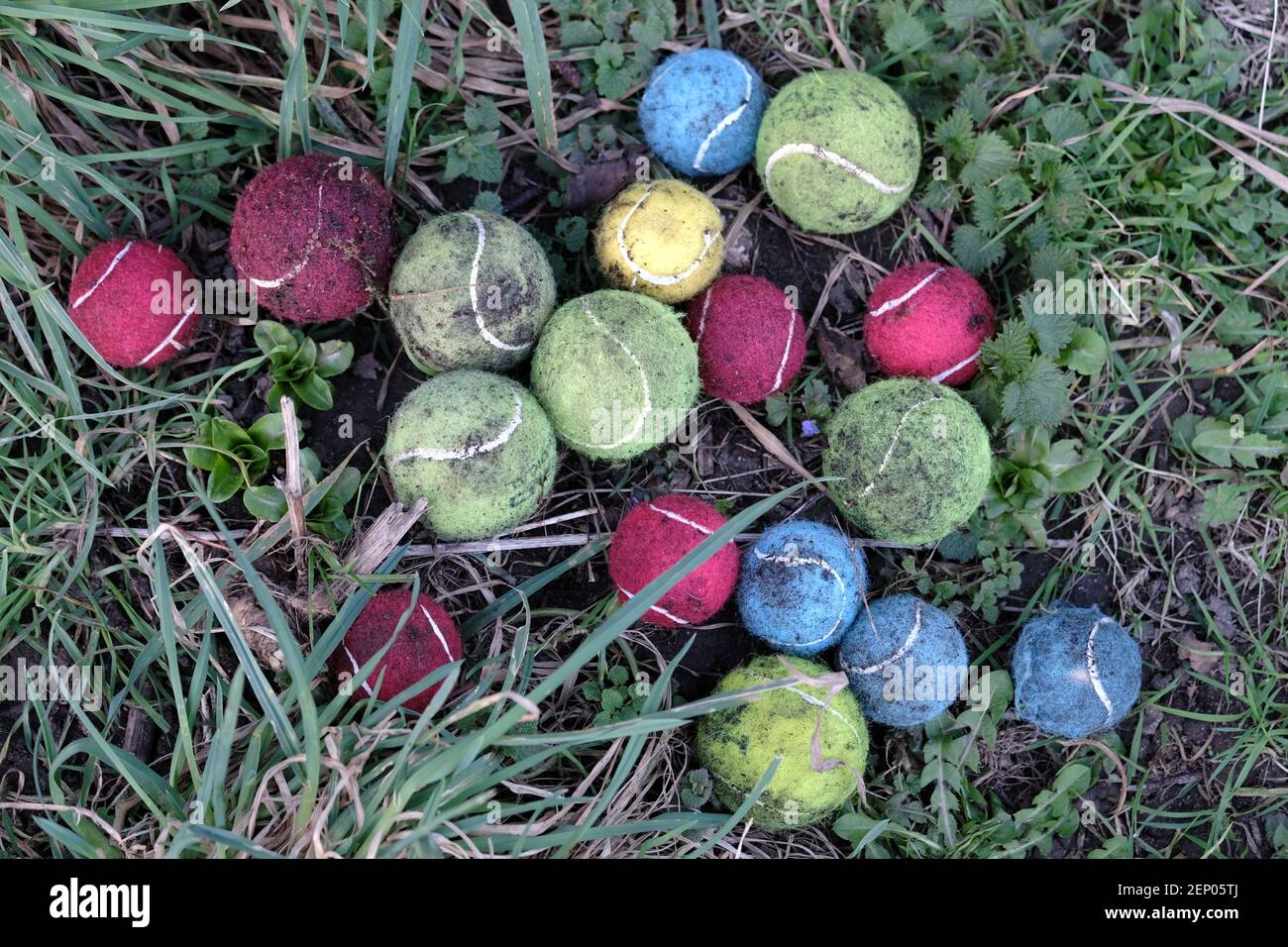 Lost and found rainbow colour dog fetch balls in a park Stock Photo