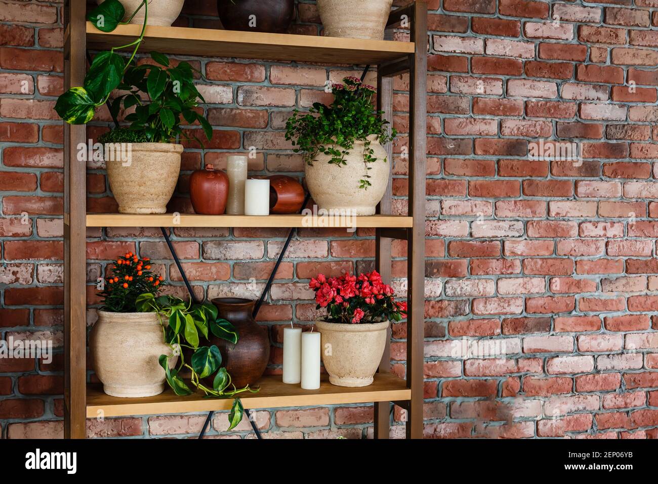 House decoration by bookcase with flower pots Stock Photo Alamy