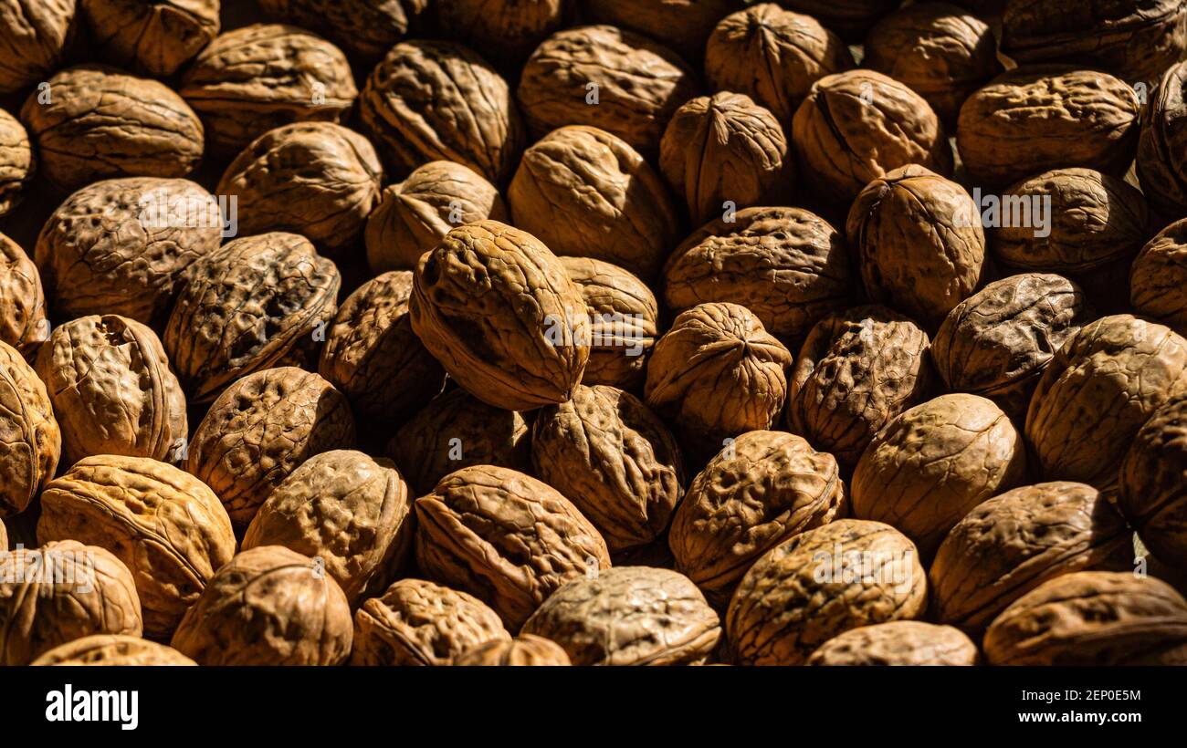 Close-up of walnuts. Pattern of walnuts Stock Photo