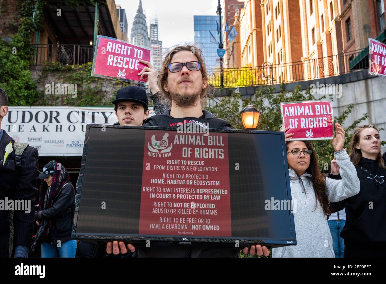 Animal rights activists from Animal rights activists from