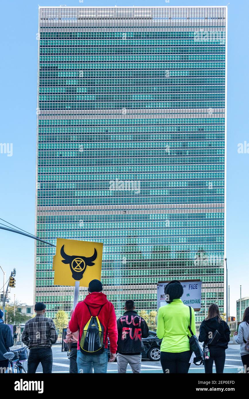 Animal rights activists from 