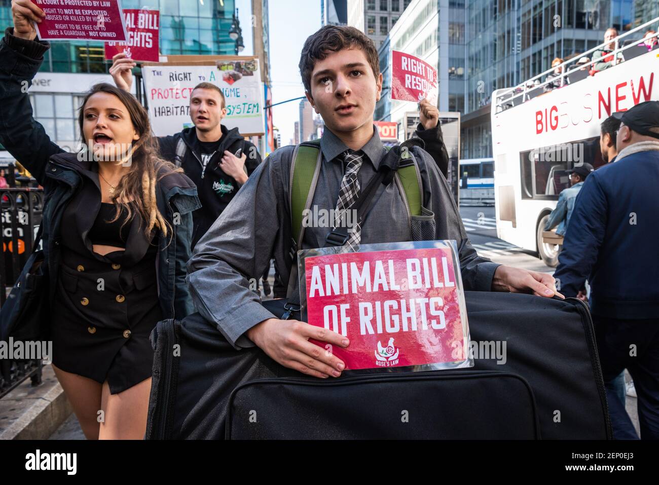 Animal rights activists from 