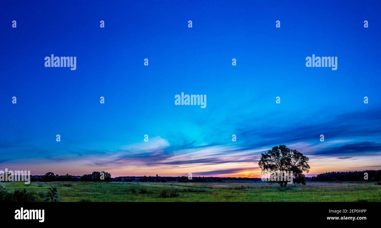 Beautiful sunrise over green field and single tree in a summer morning ...