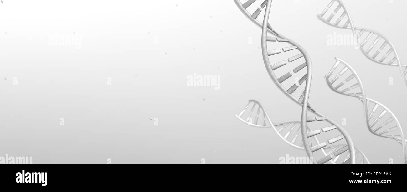 DNA spirals on a gray background. Copy space for text. 3d render. Stock Photo
