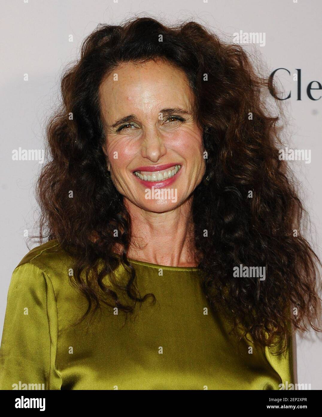 Andie MacDowell at the L.A. Dance Project Annual Gala held at the Los ...