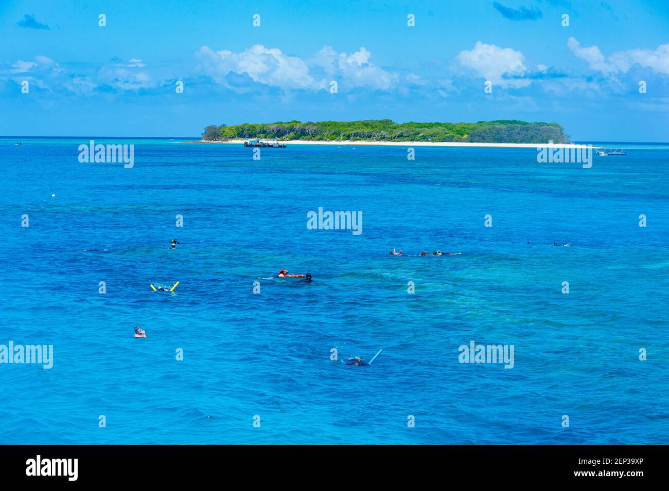 Tourists snorkelling over the coral reef at Lady Musgrave Island, Southern Great Barrier Reef