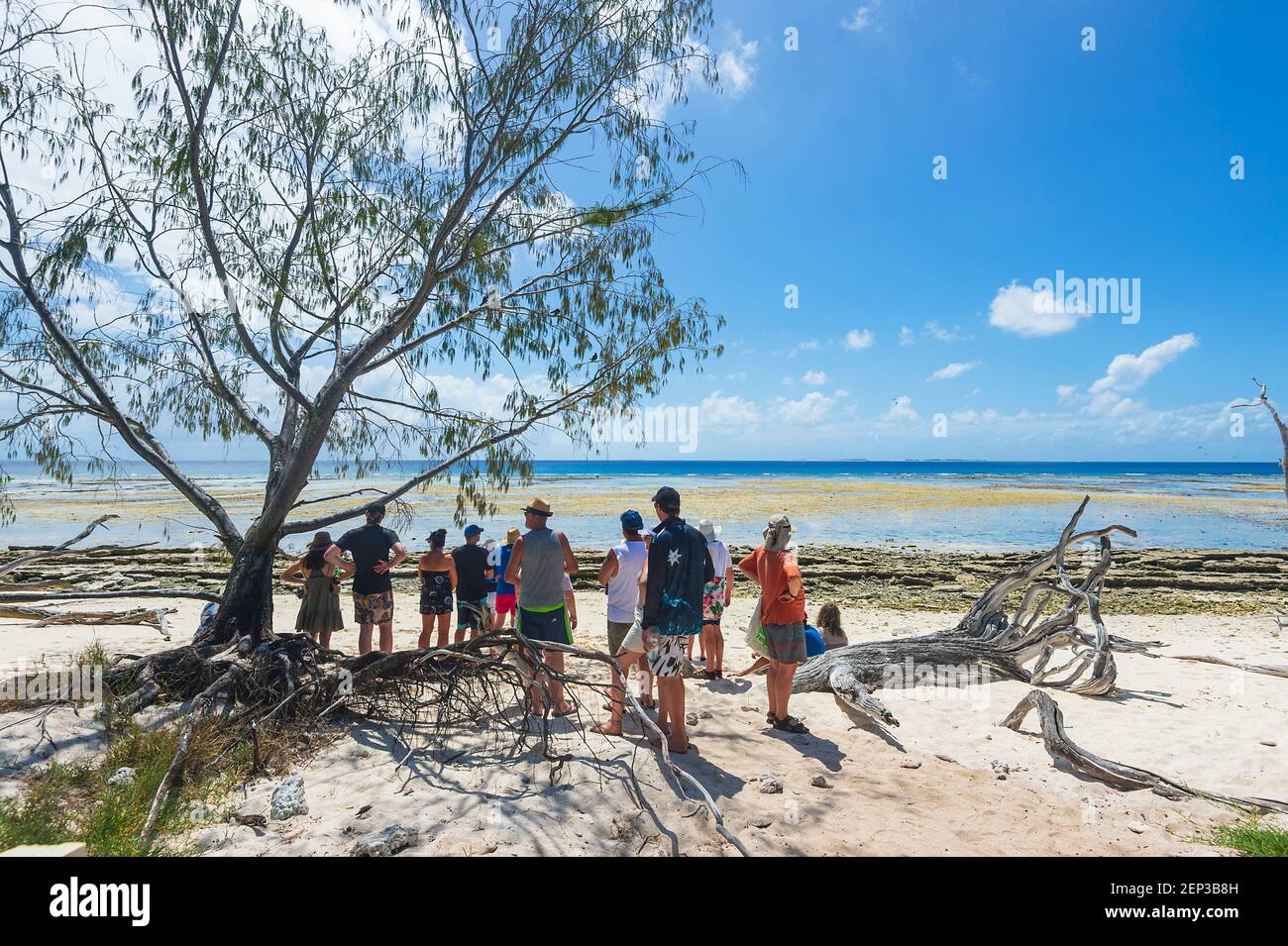 Tourists on a day trip to Lady Musgrave Island walking on the beach, Southern Great Barrier Reef, Queensland, QLD, Australia Stock Photo