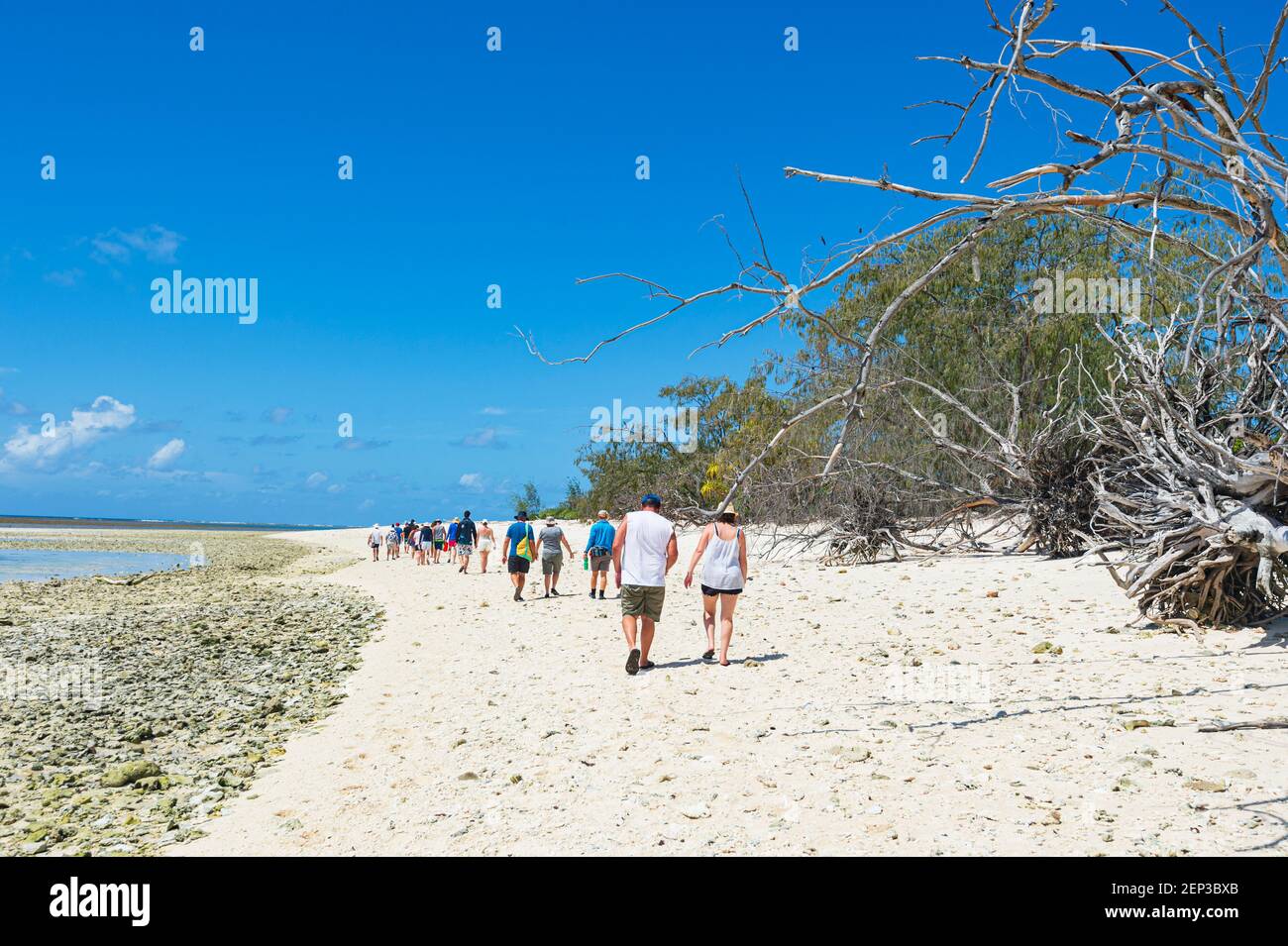 Tourists on a day trip to Lady Musgrave Island walking on the beach, Southern Great Barrier Reef, Queensland, QLD, Australia Stock Photo