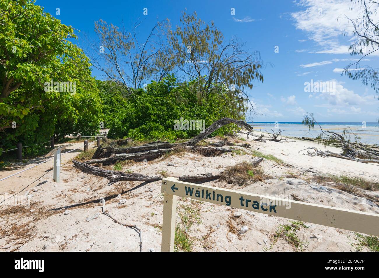 Walking track on Lady Musgrave Island, a World Heritage National Park in the Capricorn-Bunker group,  Southern Great Barrier Reef, Queensland, QLD, Au Stock Photo