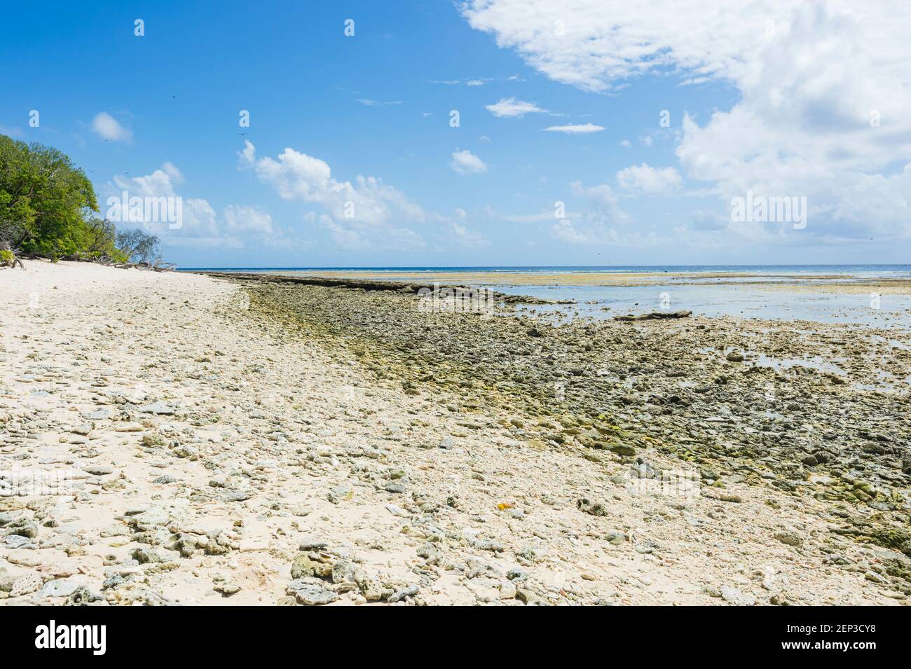 Dead coral litter the beach at the coral cay of Lady Musgrave Island, Southern Great Barrier Reef, Queensland, QLD, Australia Stock Photo