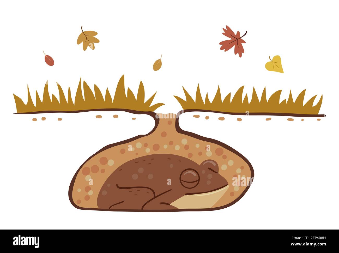 Illustration of a Hibernating Frog Underground During Autumn Stock
