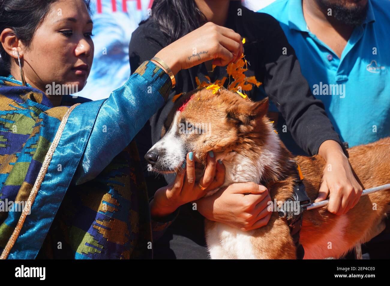 A Nepalese woman applies garland and vermilion powder to her dog during ...