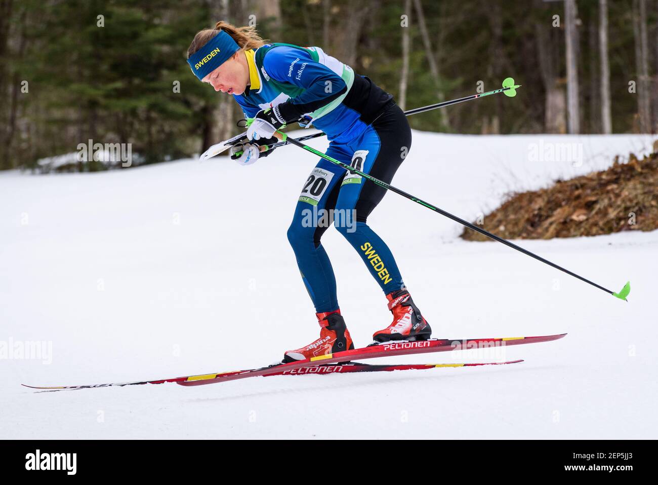 Ski orienteering racer Tove Alexandersson, Swedish ski orienteering team, Ski orienteering world cup race, Craftsbury Outdoor Center, VT, USA. Stock Photo