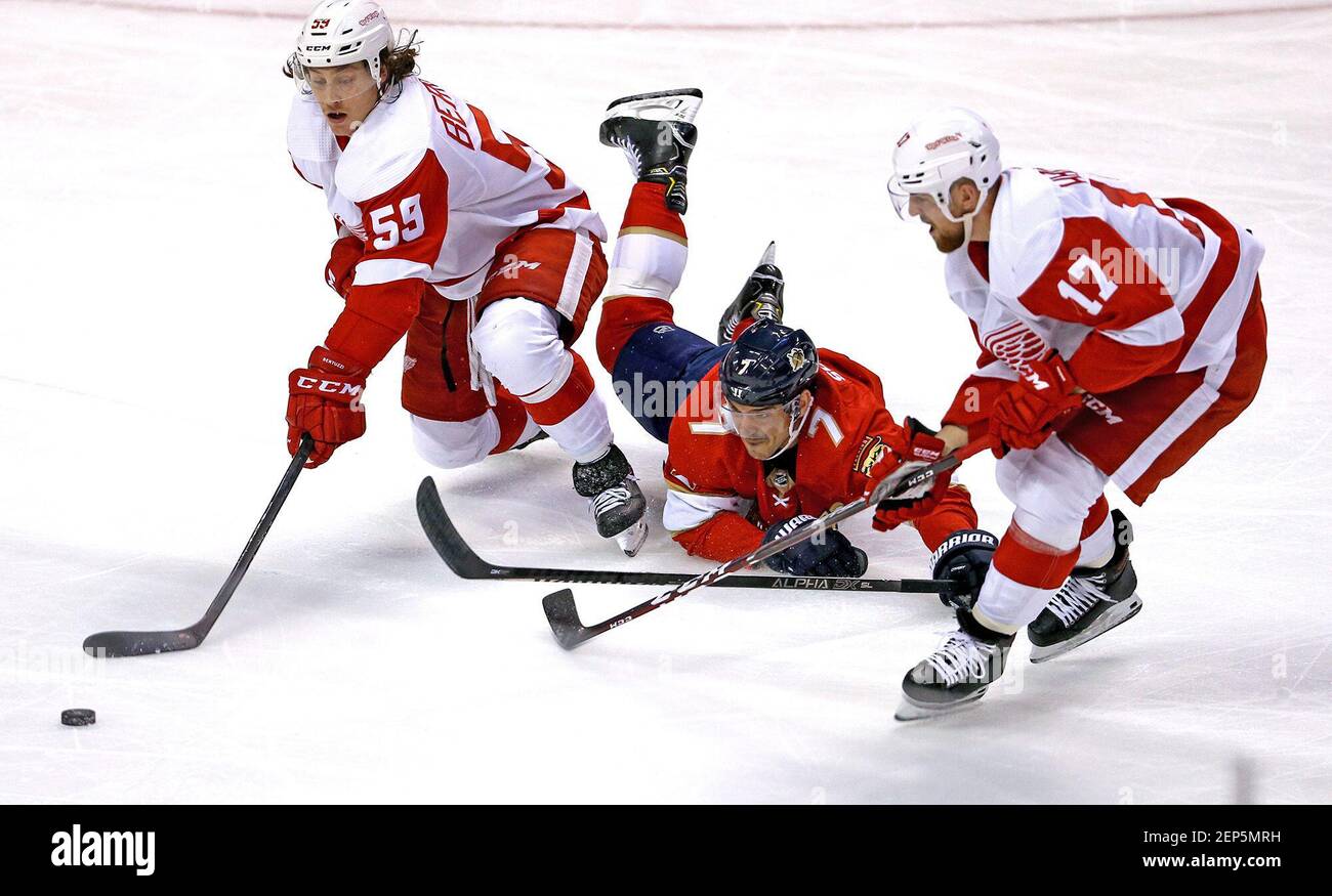 The Detroit Red Wings' Tyler Bertuzzi (59) and Filip Hronek (17) battle for a loose puck against the Florida Panthers' Colton Sceviour (7) during the second periodÂ at the BB&T Center in Sunrise, Fla., on Saturday, Nov. 2, 2019. The Panthers won, 4-0. (David Santiago/Miami Herald/TNS) Stock Photo