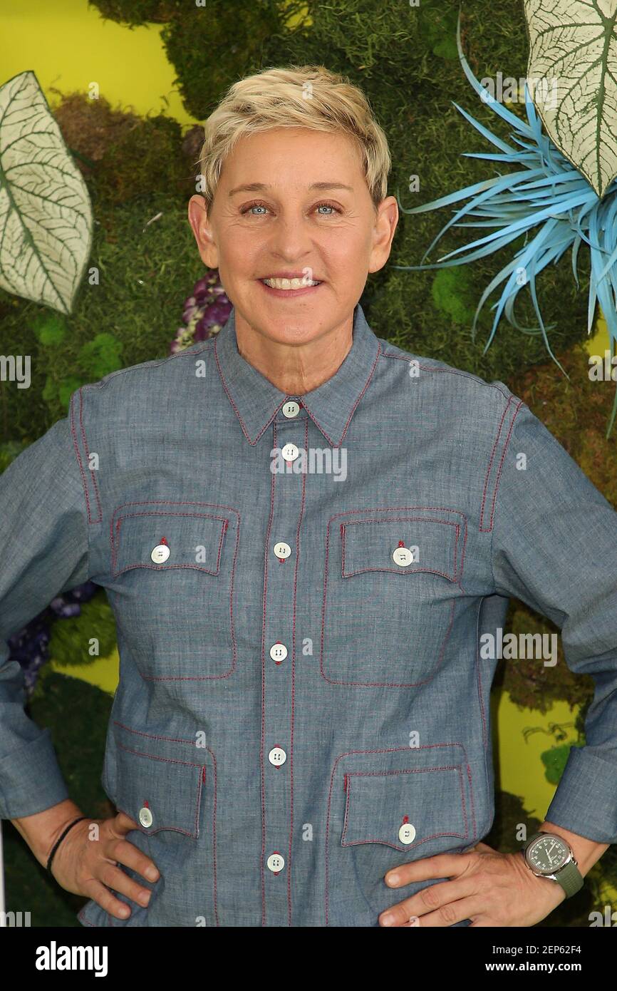Ellen DeGeneres attends the Premiere Of Netflix's Green Eggs And Ham