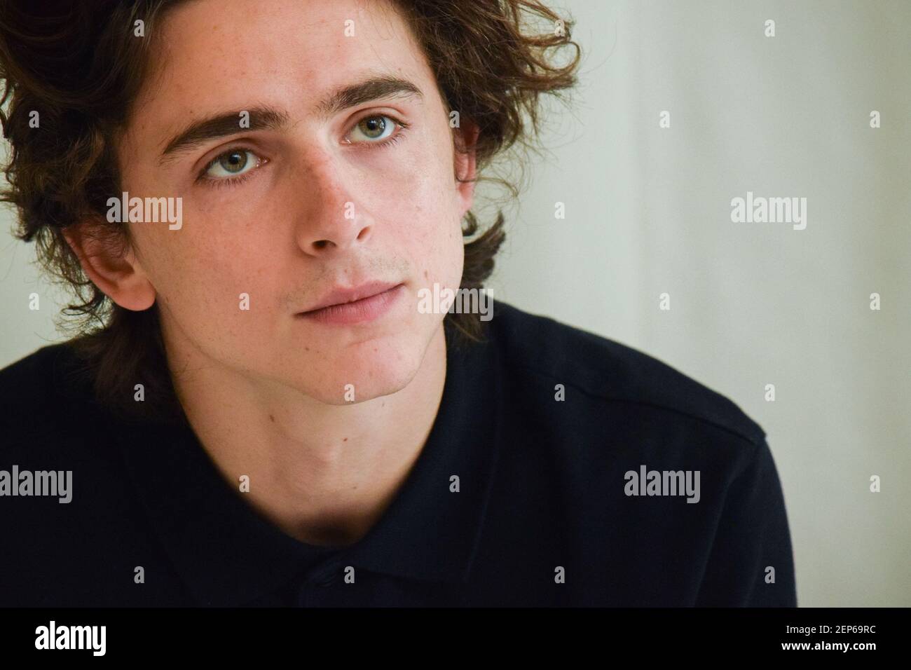 Timothee Chalamet at the Hollywood Foreign Press Association press ...