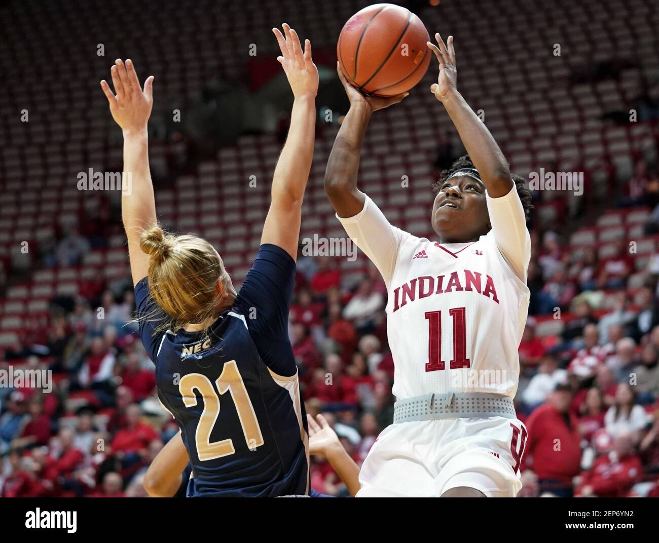 送料無料NCAA Indiana Hoosiers Mountain Bike Cycling Jersey並行輸入 Indiana Hoosiers Apparel - Official Indiana University Athletics Store