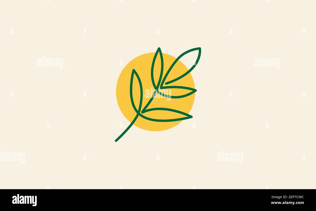 aesthetics leaf plant with green circle logo design vector icon symbol graphic illustration