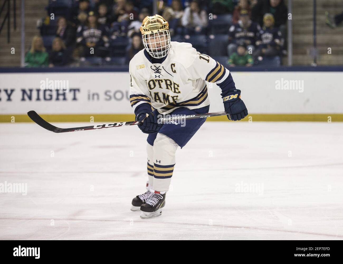 Notre Dame forward Cal Burke (11) during NCAA Hockey game action