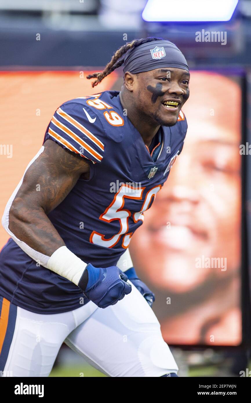 November 10, 2019: Chicago, Illinois, U.S. - Bears #59 Danny Trevathan runs  on to the field before the NFL Game between the Detroit Lions and Chicago  Bears at Soldier Field in Chicago