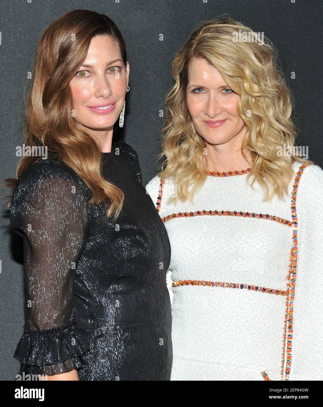 L-R: Jill Vedder and Laura Dern attend the Museum of Modern Art Film Benefit honoring Laura Dern at MoMA in New York, NY on November 12., 2019. (Photo by Stephen Smith/SIPA USA) Stock Photo