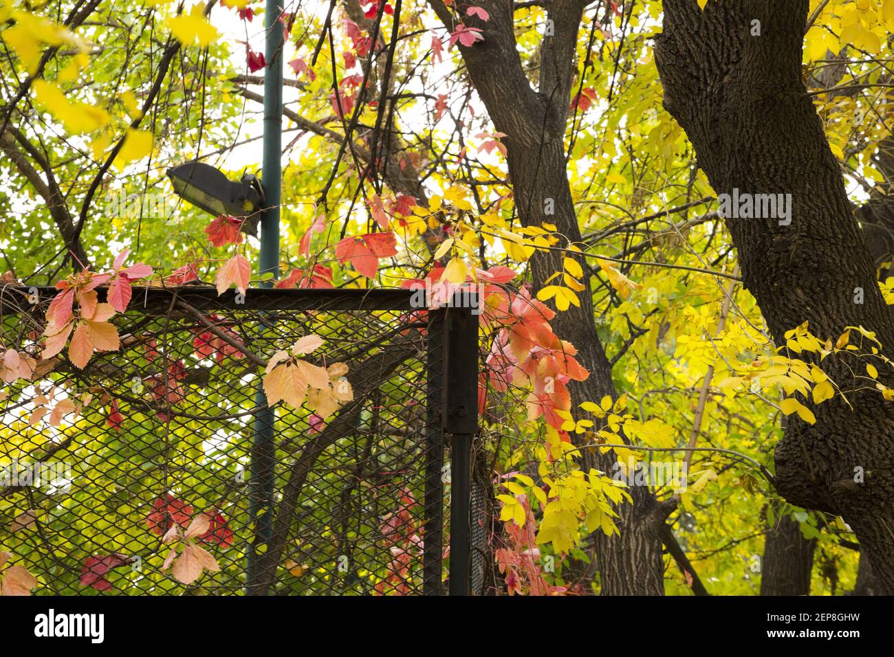 19 º11 9 E A A Y ª ª D A I ª A E A A A A A 1 ª D I A I A º E Y ª ª º 3 ª E A I O A Ed A A E A I º E D D A ª Y E D A I E A