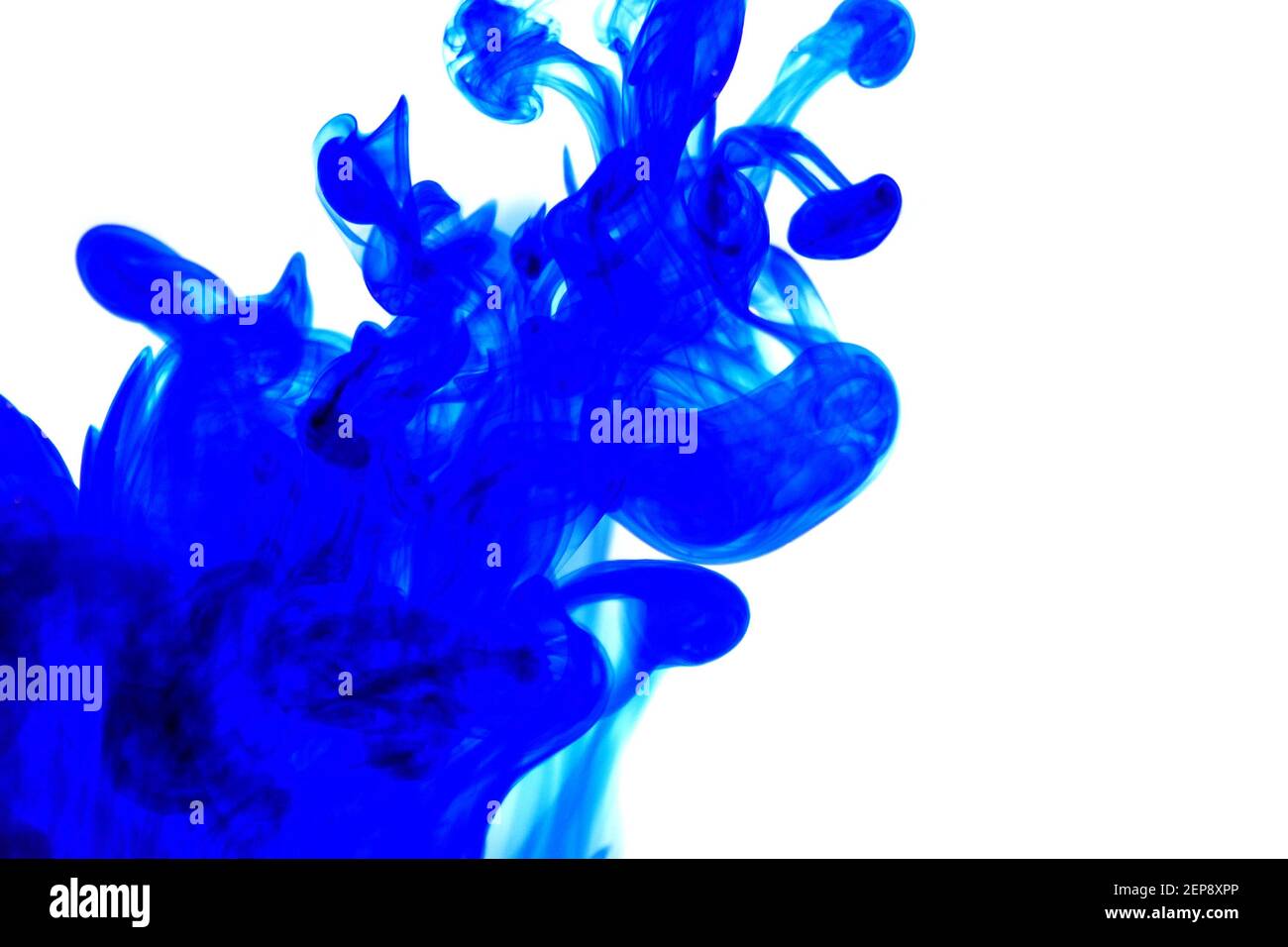 blue ink in water on white background.Blot ink. Blue paint on a white background.Color drop swirling. Stock Photo
