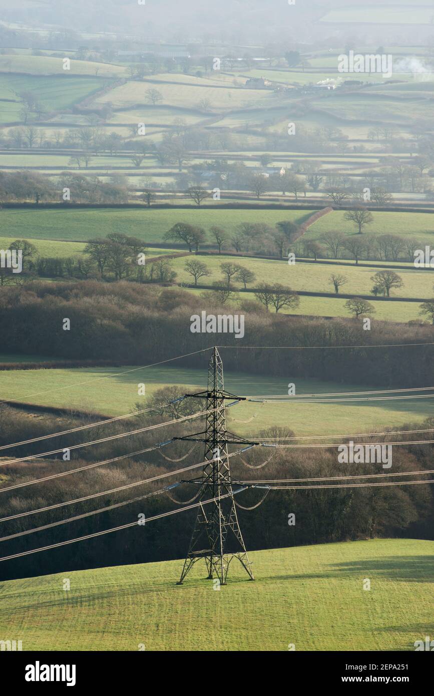 A pylon sited among fields and trees in the Marshwood Vale, Dorset, UK. Stock Photo