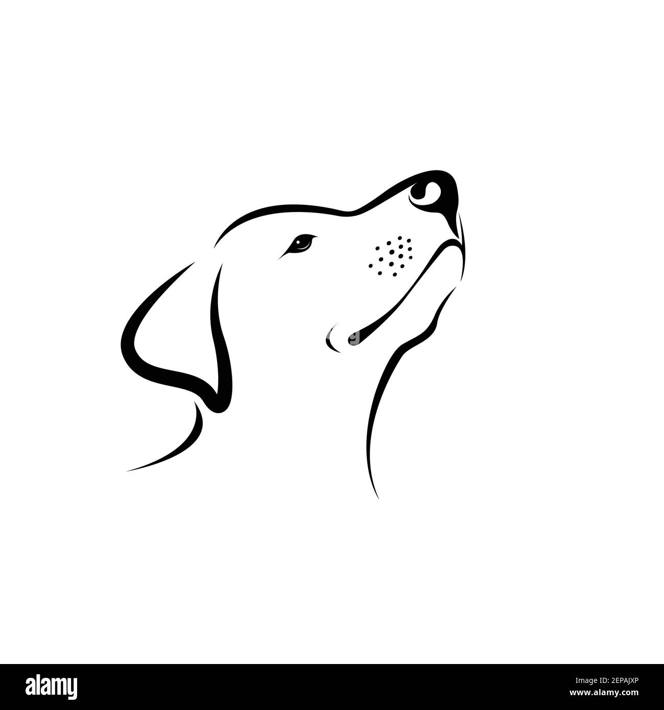 Vector of labrador dog head isolated on white background. Easy editable
