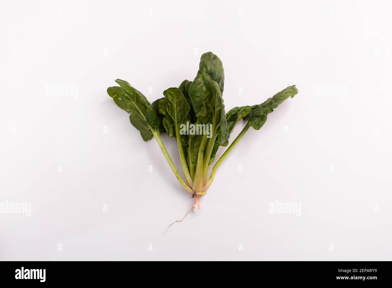 Fresh green spinach isolated on white background Stock Photo - Alamy