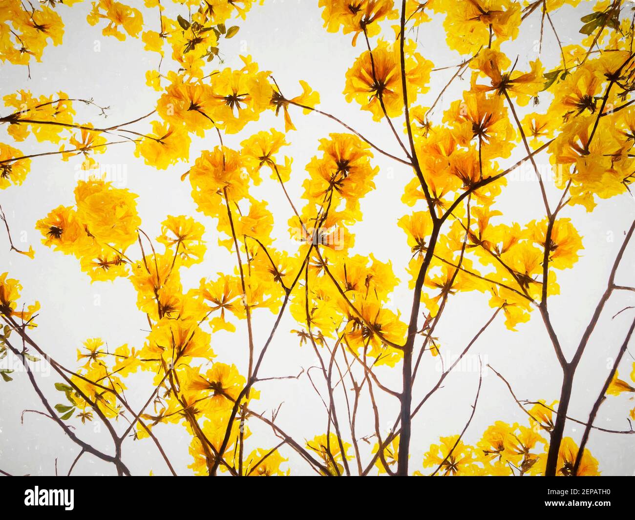 spring and summer garden Stock Photo