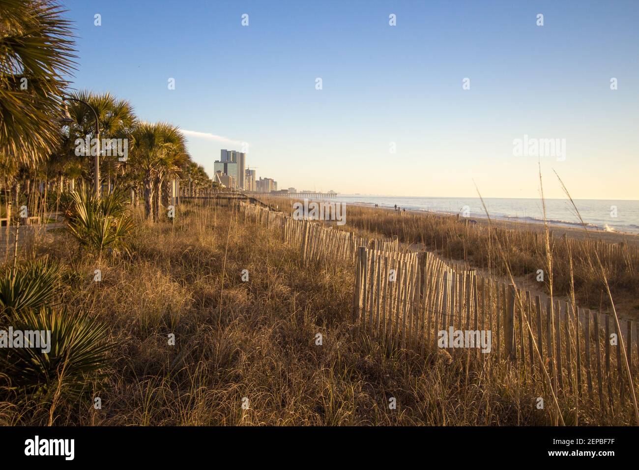 The Myrtle Beach Coast. Palmetto trees and sea oats along the boardwalk of Myrtle Beach, South Carolina on the Atlantic coast. Stock Photo