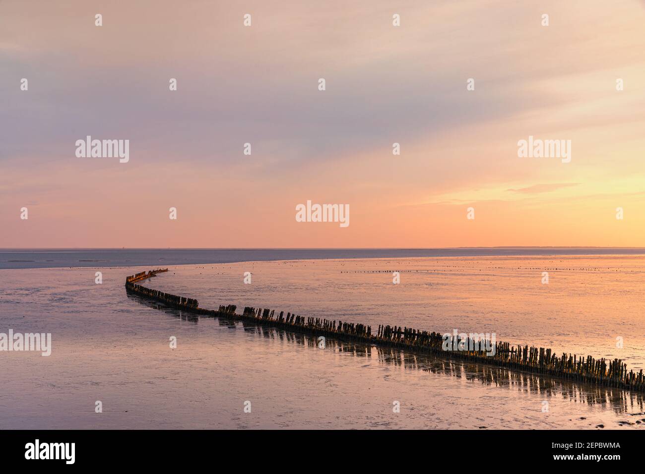 Sunrise over the Waddensea near the village of Wierum in the province of Friesland. Stock Photo