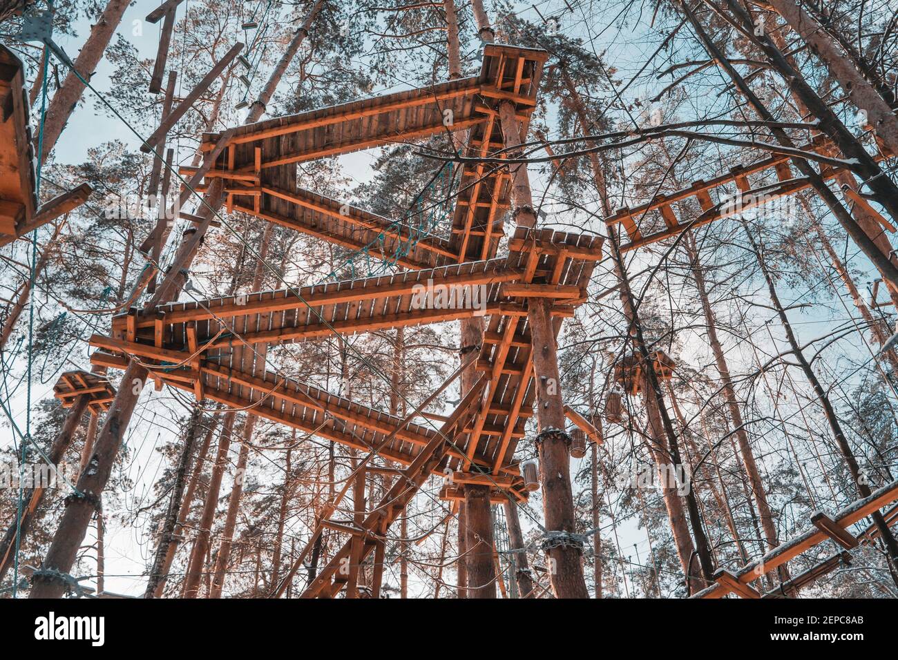 Adventure park in woods among tall trees. Climbing park. Adventure