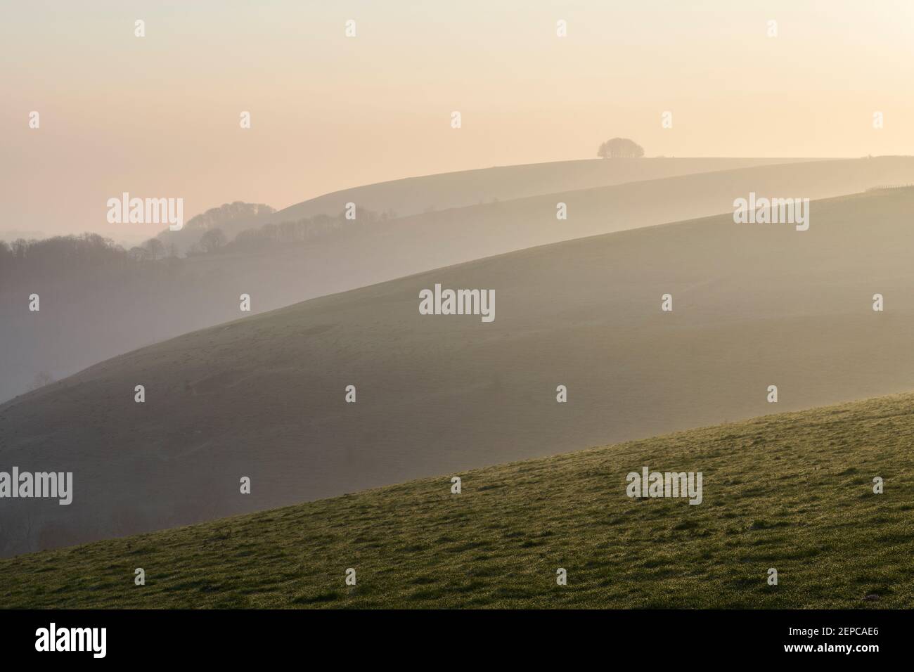 Misty dawn view towards Win Green, a landmark on Cranborne Chase, Wiltshire. Stock Photo