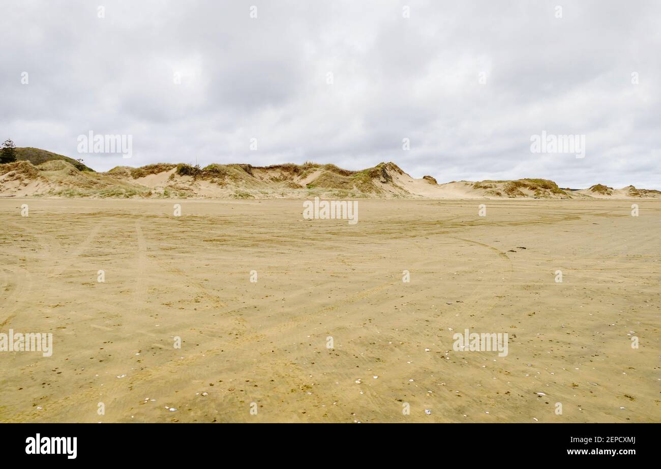 Scenery around the Ninety Mile Beach at the western coast of the North Island of New Zealand Stock Photo