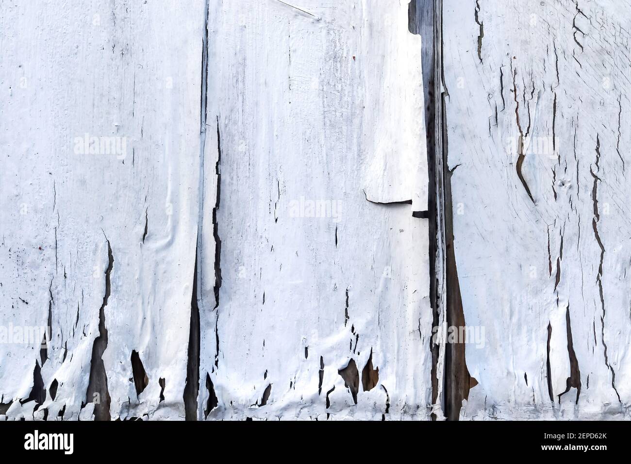 Vintage wooden planks background texture with white peeling paint Stock ...