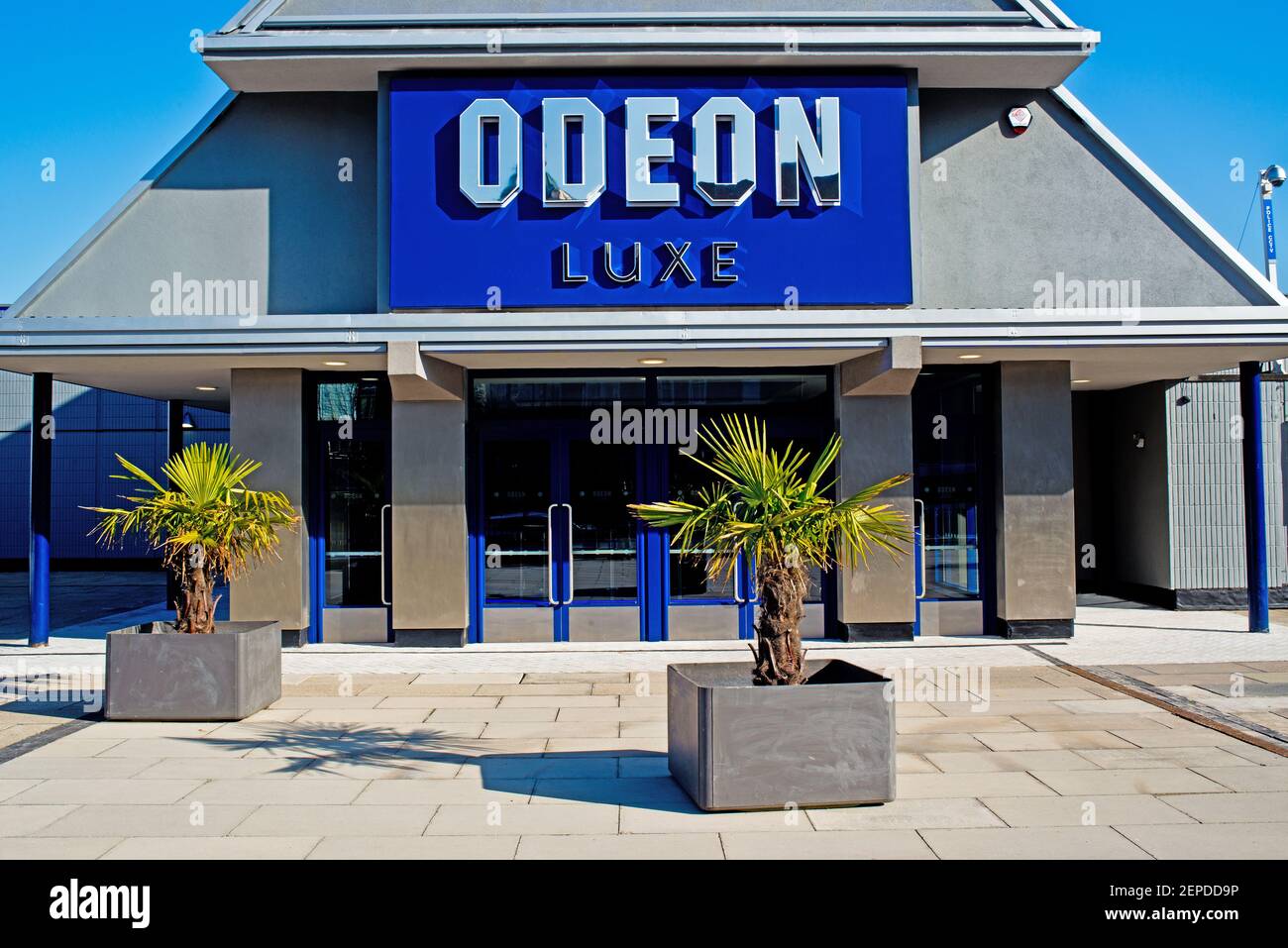 Luxe Odeon – The Hive Winchester