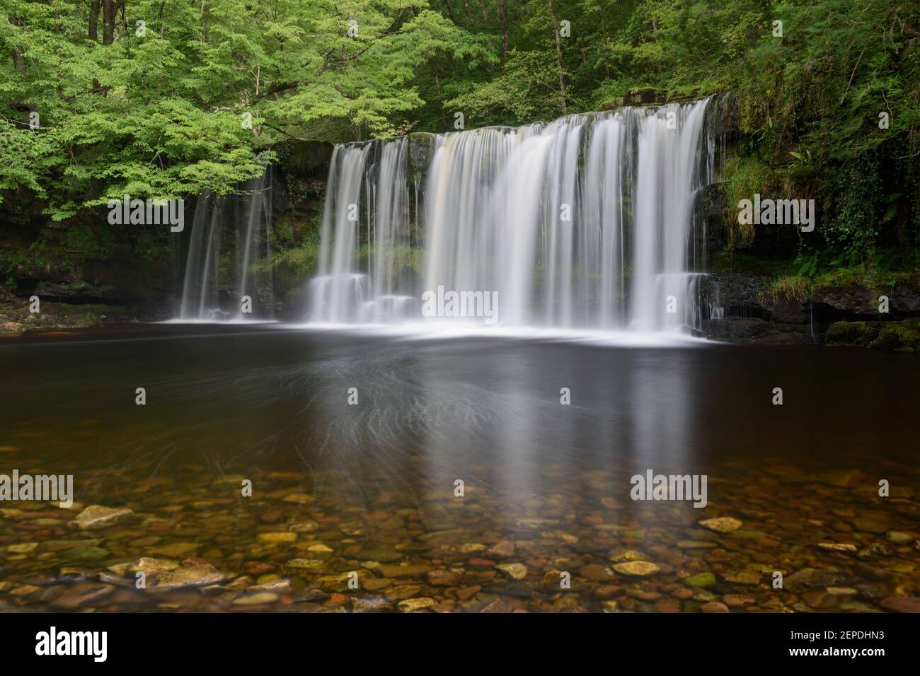 Sgwd Ddwli Uchaf surrounded by vibrant green foliage on a summer afternoon in the Brecon Beacons, Wales. Stock Photo