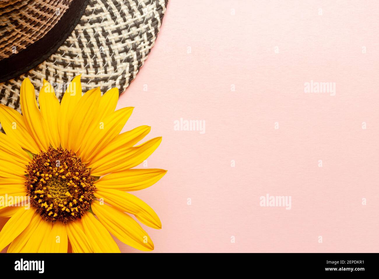 summer template mockup with hat and sunflower on a pink background. copy space Stock Photo