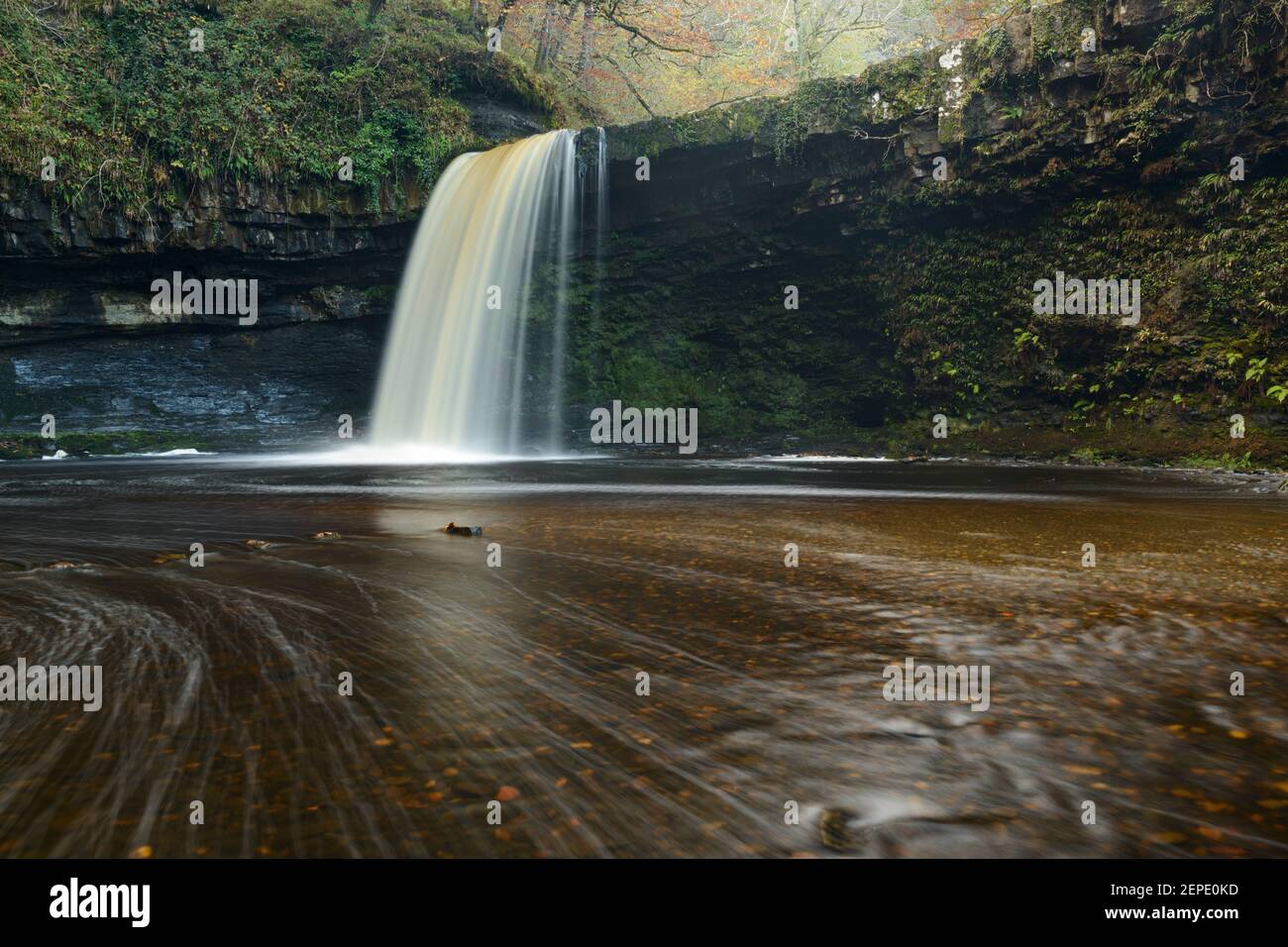 Sgwd Gwladys surrounded by autumnal foliage in the Brecon Beacons, Wales. Stock Photo
