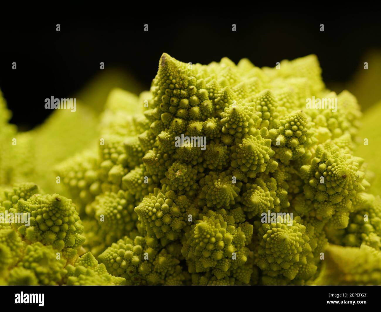 Broccoli and edible flower hires stock photography and images Alamy