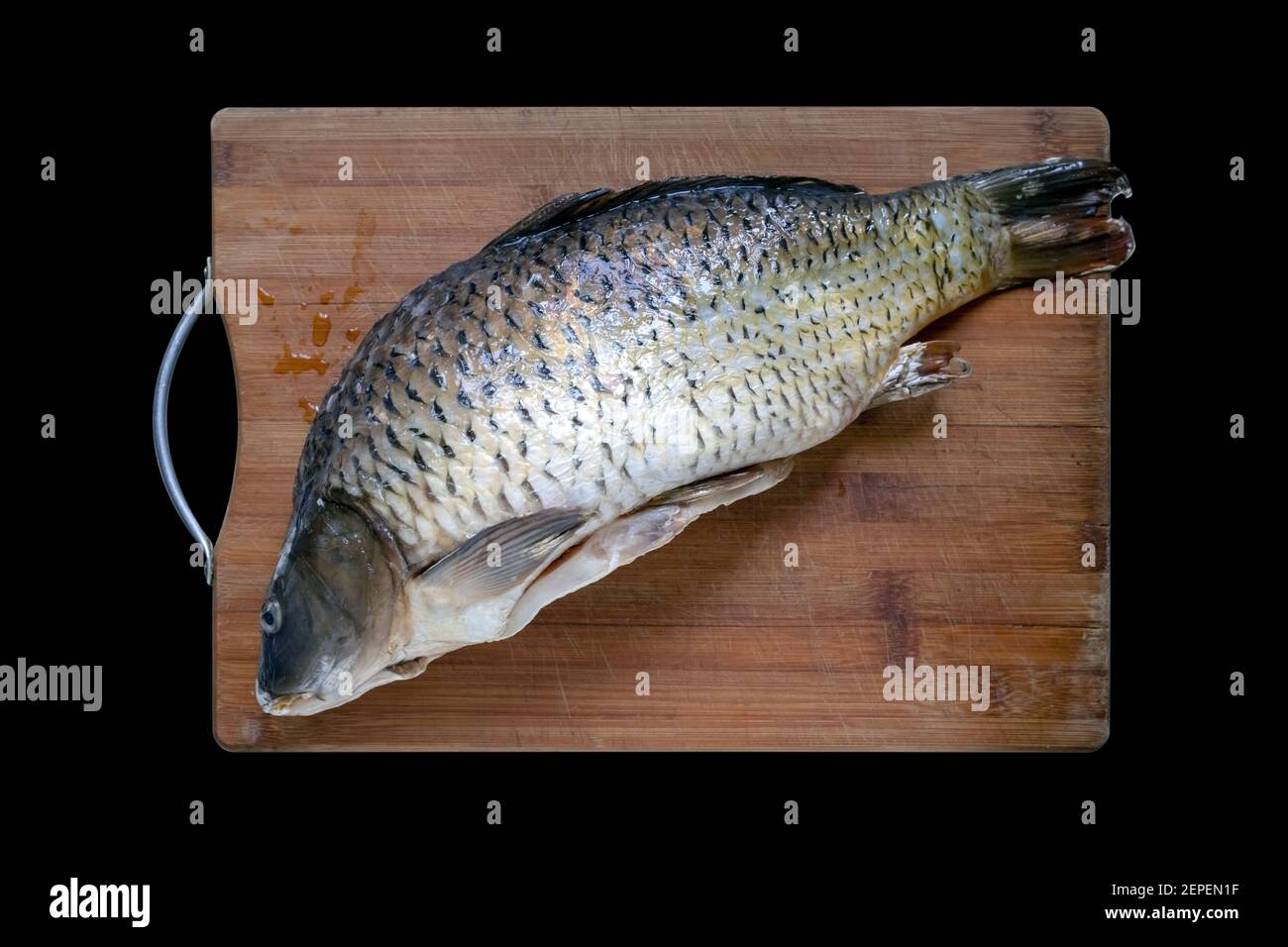 defrosting carp fish on wooden cutting board isolated on black background. flat lay or above looking Stock Photo