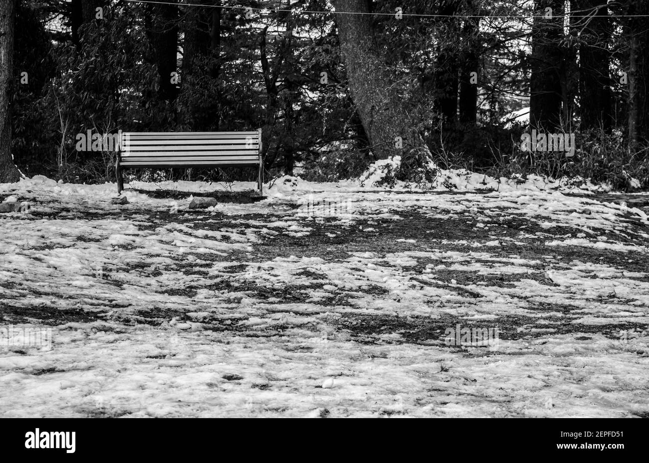 Patnitop a city of Jammu and its park covered with white snow, Winter landscape Stock Photo