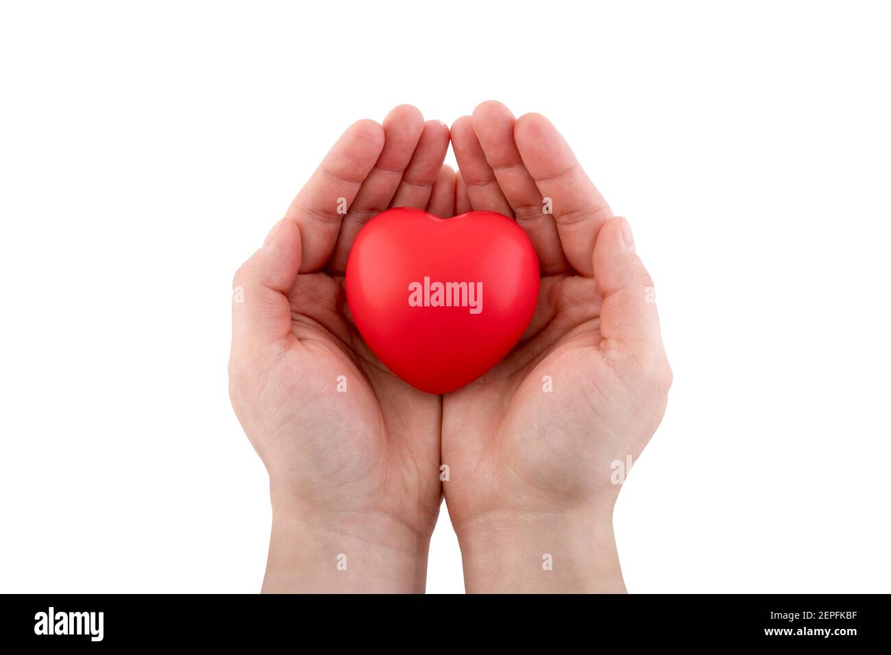 Red heart in hands isolated on white background with clipping path. Health insurance or love concept Stock Photo